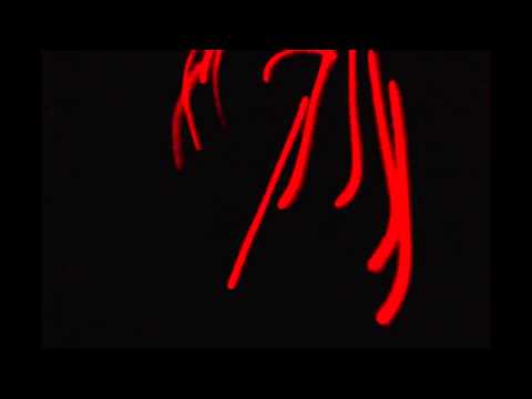 Ilan Bluestone Satellite gloveshow