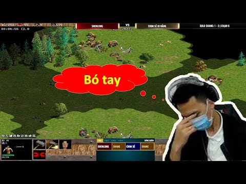 AOE Highlights | Shenlong bug 2 main houses before Chim Se Di Nang ...