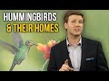 Hummingbirds And Their Homes | David Rives