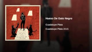 Hueso De Gato Negro