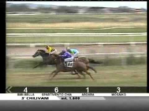 26/05/2012, Chilivani , Premio Ipp. Del Casalone-v. Z.