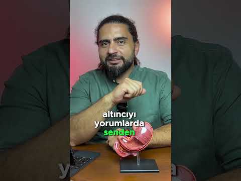 BAĞIRSAĞI YENİLEYEN 5 GIDA #barsak #bağırsak