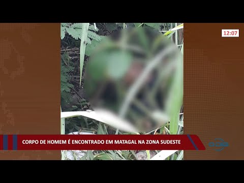 Corpo de homem é encontrado em matagal na zona sudeste 07 01 2022