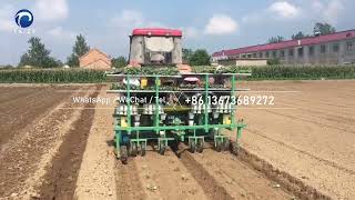 How does Tractor Driven 4 Row Vegetable Seedling Transplanter Work? | Transplanting Machine #replant
