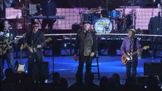 Beach Boys 2012 Wouldn&#39;t It Be Nice PRO SHOT