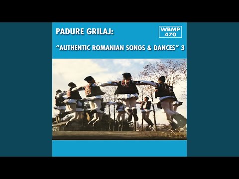 Ghimpele Oltenesc (Oltenia)