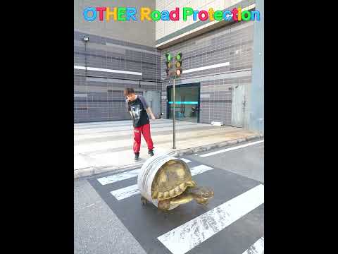 Others Roads Protection #foryou #respect #fypシ