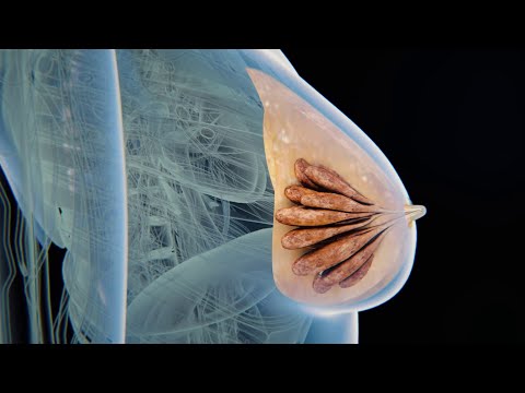 Das Wunder des Stillens: Erstaunliche Vorteile für Mutter & Baby| Die Methoden,die Sie wissen müssen