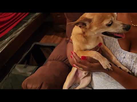 Angus Seizing Aug 20