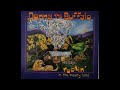 Donna The Buffalo -  All The Time