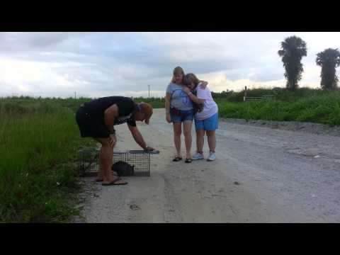 Dillerman, Baby Girl, and Lilly Pad