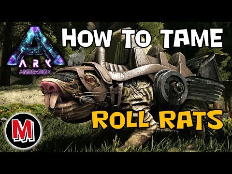 ARK : How To Tame a Roll Rat (Very Fast Dino)