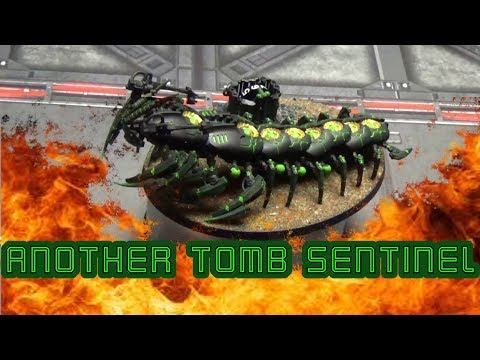 Another Tomb Sentinel?