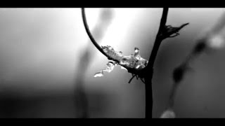 AGF - Keinutan Kaikua (L.Onerva, 1904) feat. Lau Nau [AGF017] [HD]