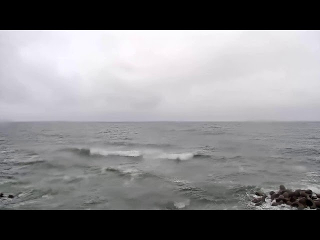 道の駅 笹川流れ（晴れた日には粟島の島影）