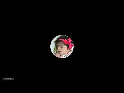 miRNA and Gene expression in Cucumber in response to high temp and photoperiod