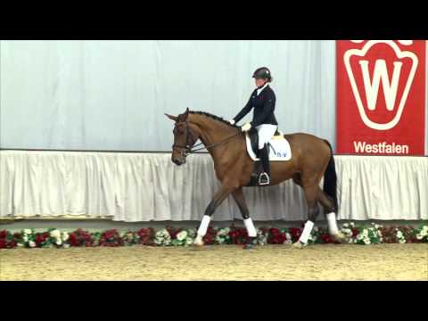 27 Viatly  Wallach v. Vitalis - Florestan I