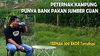 Download lagu PETERNAK KAMPUNG PUNYA BANK PAKAN SUMBER CUAN,TERNAK KAMBING DOMBA 300 EKOR TERCUKUPI mp3 Download lagu PETERNAK KAMPUNG PUNYA BANK PAKAN SUMBER CUAN,TERNAK KAMBING DOMBA 300 EKOR TERCUKUPI mp3