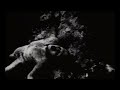 Marilyn Manson - Kinderfeld (Legendado)