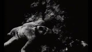 Marilyn Manson - Kinderfeld (Legendado)