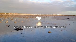 Silence & Beauty On Ferring Beach with Dottie (The English Bull Terrier)
