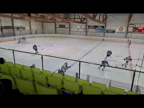 Pelicans U15 Team-Jää-Tiikerit green