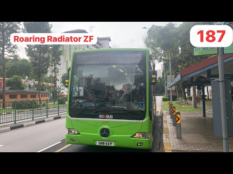 [Roaring Radiator ZF] SMRT Buses 187 Mercedes Benz OC500LE SMB42P (Batch 1)