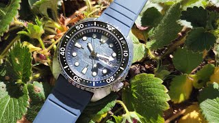 Seiko King Turtle SRPF77 Dark Manta - Review