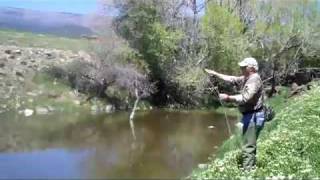 preview picture of video 'Fly Fishing in Cedaredge, Colorado'