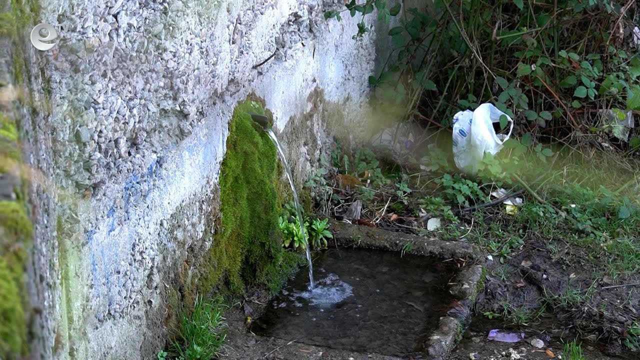 Три обществени водоизточника в Кърджали с наличие на Ешерихия коли