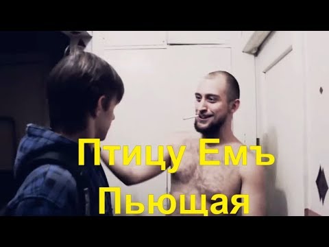 Птицу Емъ - Пьющая (Клип, 2013)