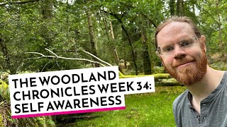 Woodland Chronicles Week 34 – Self Awareness with David Essery