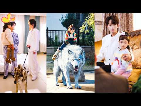 The little girl raised with wolf returns to wealthy family and is spoiled by 3 CEO brothers!