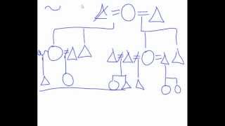 Kinship Diagram help