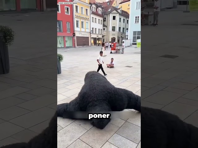 Vídeo relacionado con EraSpooky - Disfraz de gorila de Halloween para adultos, trajes de cosplay realistas de chimpancé salvaje