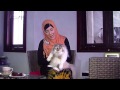 Devi Permatasari - Hobby: Memelihara Kucing
