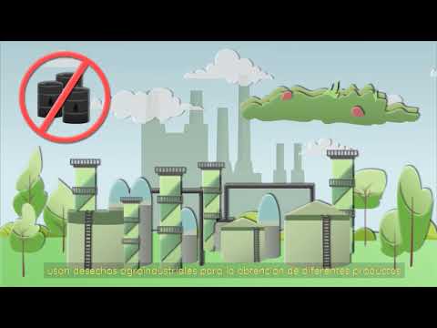 Bagazo de agave: de desecho agroindustrial a materia prima en las biorrefinerías  - Ciencia UNAM