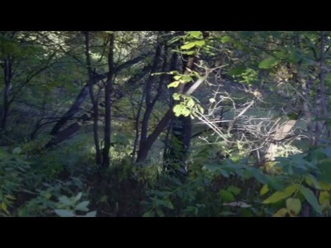 A Bruxaria — Músicas Bruxescas Britânicas