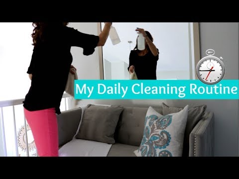 My Daily Cleaning Routine ⏱ Timed ⏱ Speed Clean with Me Video