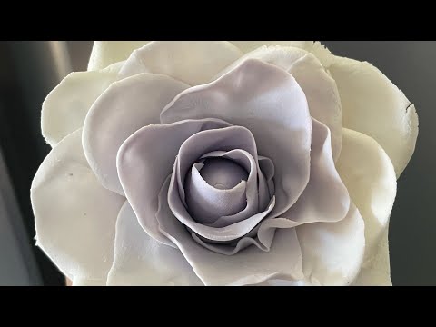 I did it for the first time.. Fondant flower.