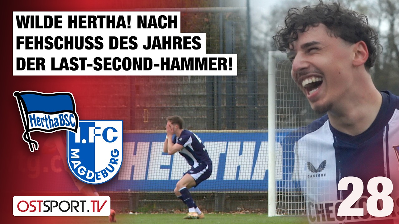 Hertha BSC II U23 vs 1.  Magdeburg II Highlights