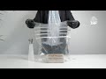 We Create Life Mushroom Grow Kit Instructies