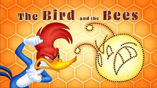 Woody Woodpecker  The Bird and the Bees  Full Epis
