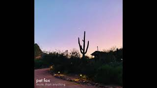 Pet Fox - Imagine Why video