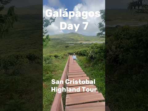 San Cristobal Highlands Tour - Galápagos : El Junco Lagoon & Tortoise Reserve #galapagos #ecuador
