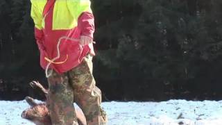 Fieldsports Britain – German driven boar, episode 63