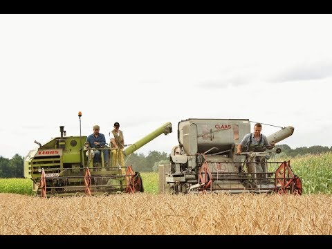 Landb. De Clercq - Van Deynze - Ursel - Claas Columbus - Claas Consul