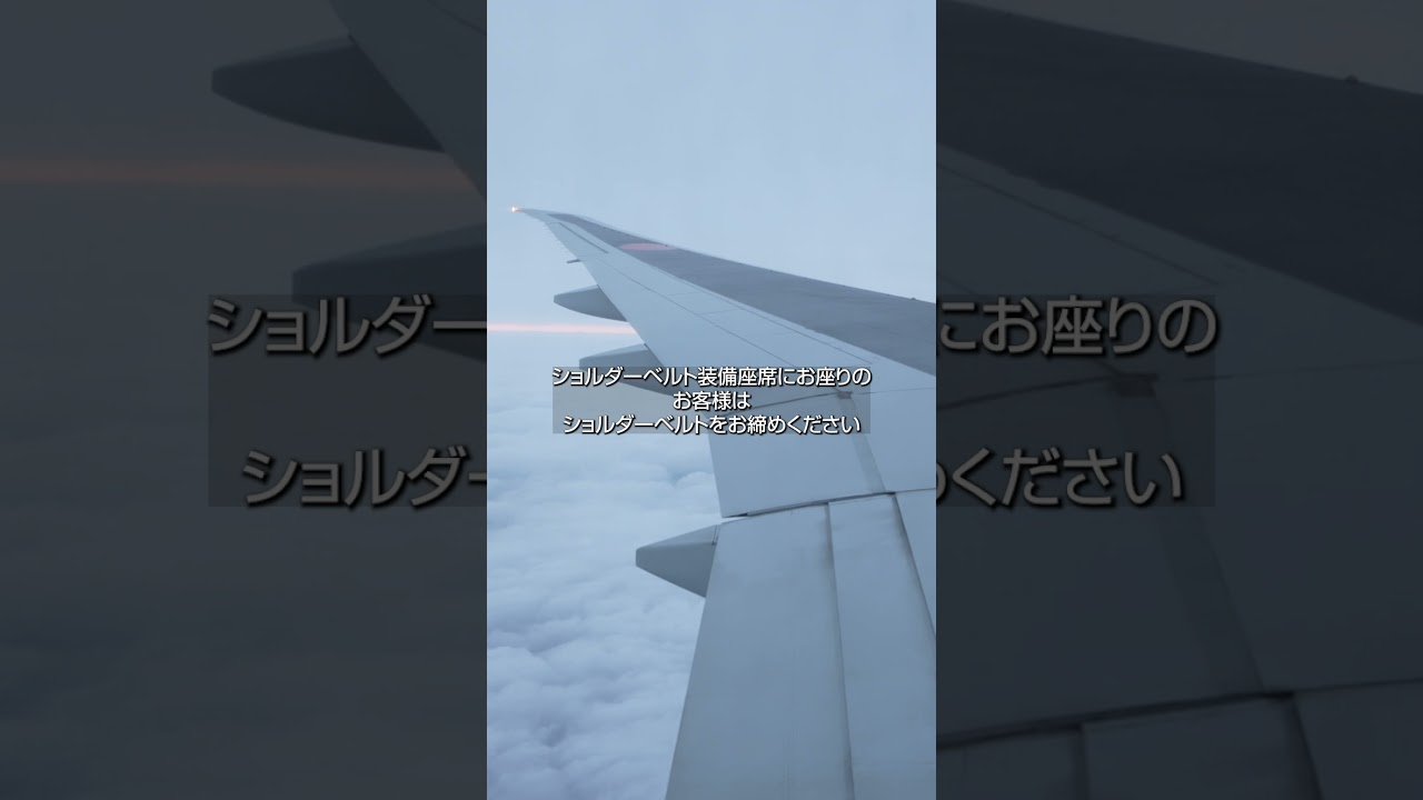 77W専用 着陸体制時の自動放送 ANA B777-300ER JA784A