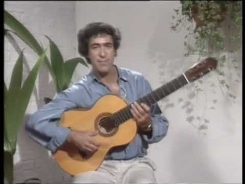 💯La Guitarra Flamenca Juan Martin vol 1 pt1 #love #music #video #foryou #parati #trending #song #uk