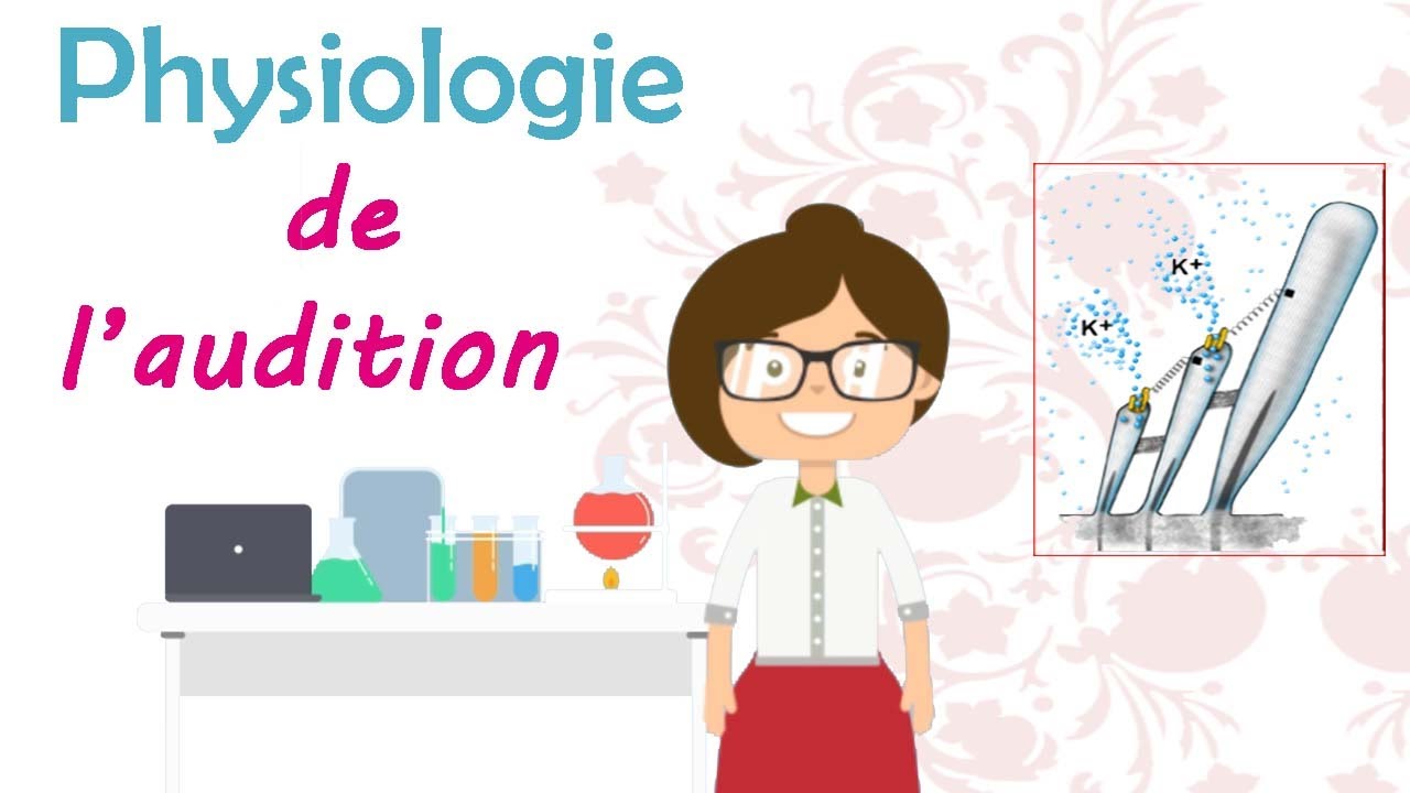 Physiologie de l'audition - cours de 2 ème année médecine